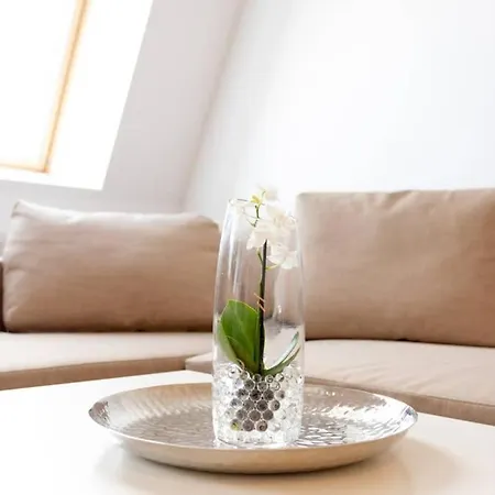 Apartment Moderner Comfort L Lf38 *