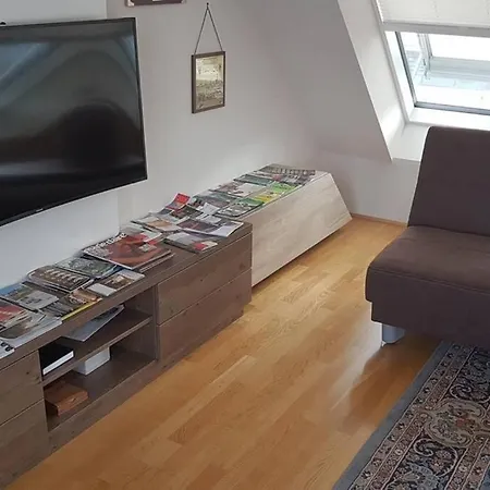 Großes Penthouse #12 Mit Terrasse Und Aussicht Apartment Wien