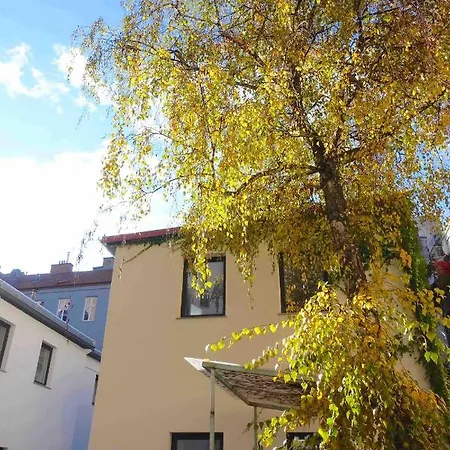 Studio U Parkplatz, Zentrale Ruhelage Neben Grunoase Apartment Vienna