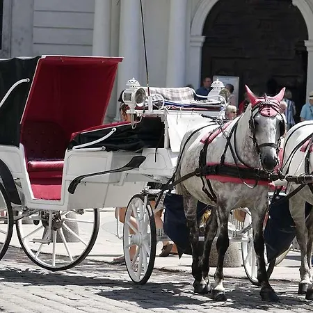 Roemischer Kaiser Отель