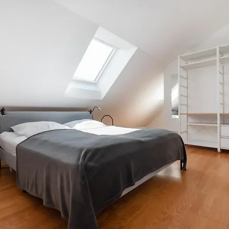 Roof With Terrace, Parking And Ac Apartment Vienna