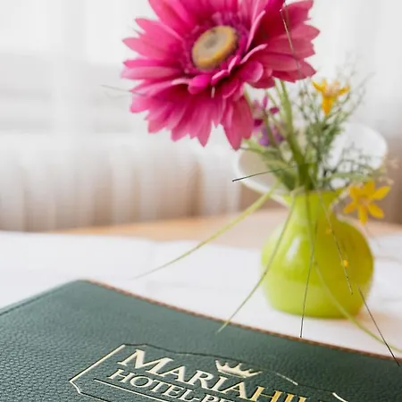 Bed & Breakfast Mariahilf 3*
