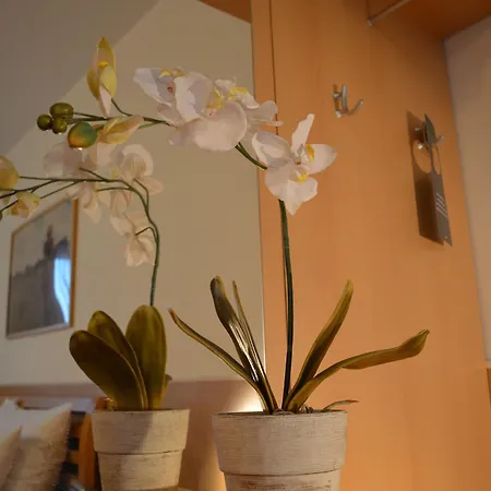 Donaustadt Kagran - At Metro U1 Hotel 3*