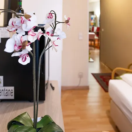 Mariahilf Bed & Breakfast Vienna
