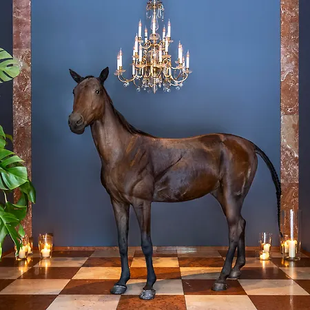 Grand Ferdinand – Am Ring Wien