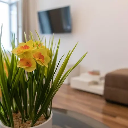Peaceful 1br Apt. Near Metro Station Langenfeldg.