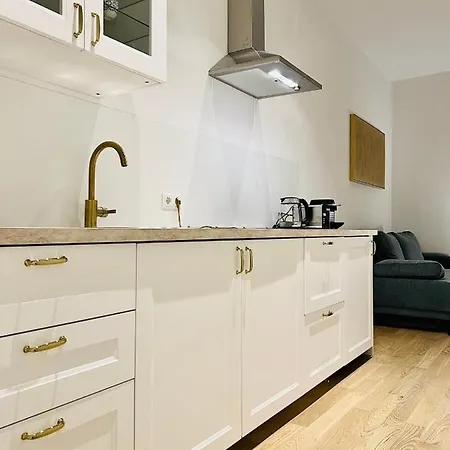Modern Style City Apartment Vienna