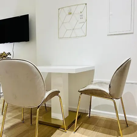 Modern Style City Apartment Vienna
