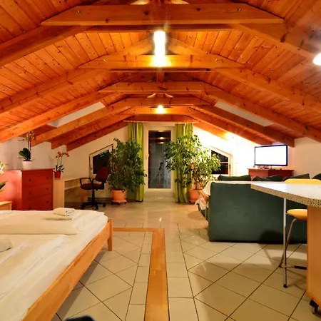 Daire Ajo - Alte Donau View Penthouse - Self-check-in *