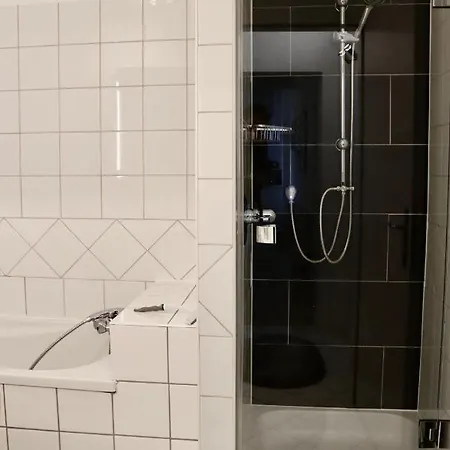 Stellar Penthouse Near Prater Apartment *
