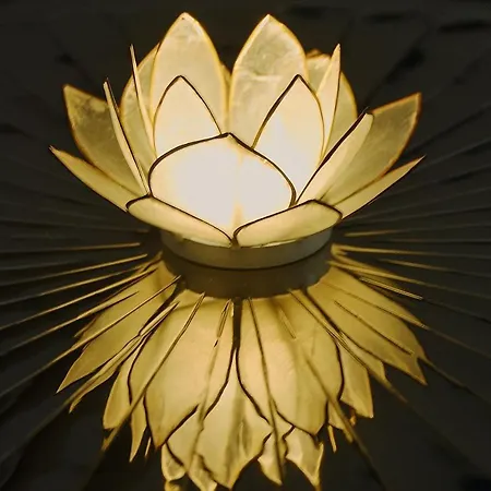 White Lotus Apartment *