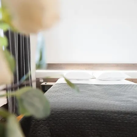 Triester Apartment *