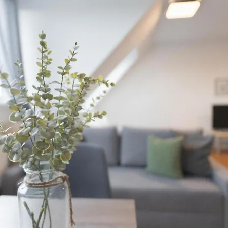 Triester Apartment