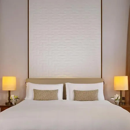 Hotel The Ritz-carlton,