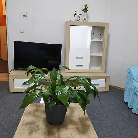 Apartment Rose Malfatigasse