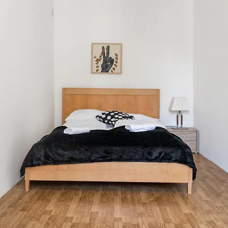 Amazing 2br Near Downtown Apartment Vienna