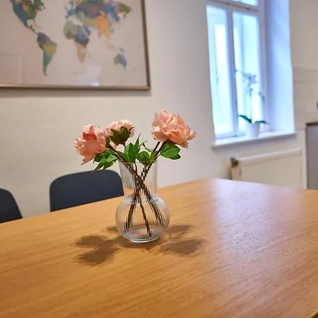 Apartment Renovated & Cozy - Close To Museumsquartier Vienna