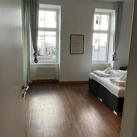 Zm * Vienna