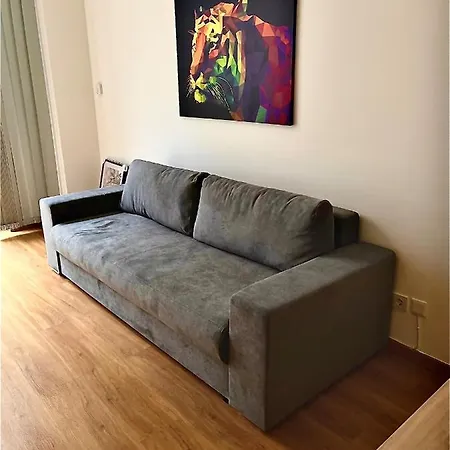 Zm Apartment *