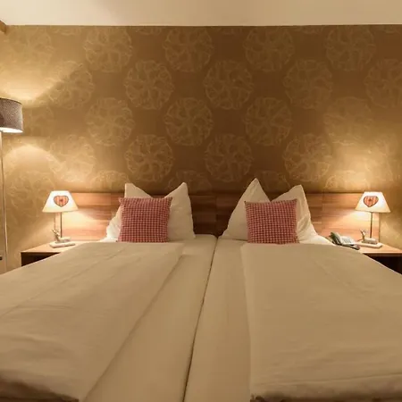 Hotel Enziana 3*