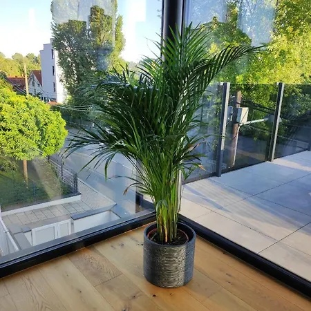 Apartment Luxuriöses Penthouse: Un View & Private Lift Vienna