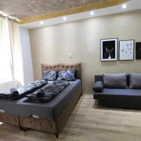 Family Quad Rf Apartment Vienna