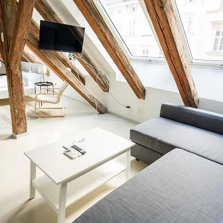 Living - Berggasse Apartament Viena