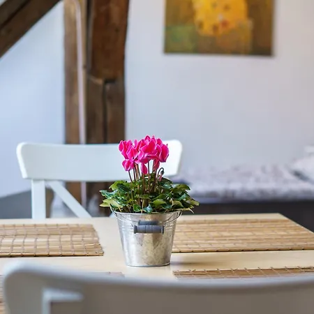 Apartament Living - Berggasse