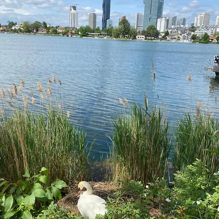 U1 Alte Donau Old Danube City 2 *