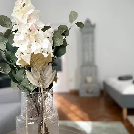 Apartament Spacious Apartment, 3 Min To U1 Reumannplatz