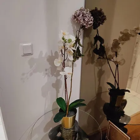 Xuba Apartmentrooms Messe Prater Hotell *