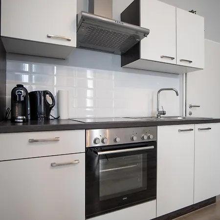 Beautiful New Near Center Apartment