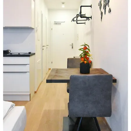Apartment Easy Flat Hyrtlgasse