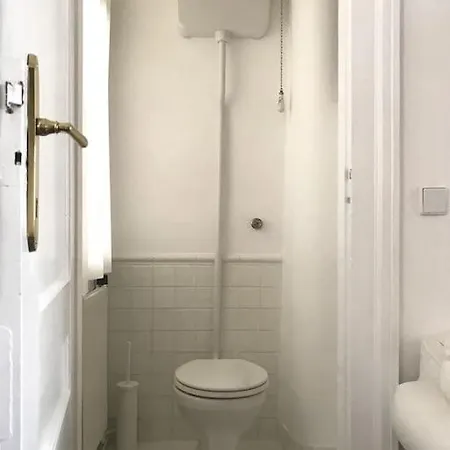 Wiener Altbauwohnung Apartment