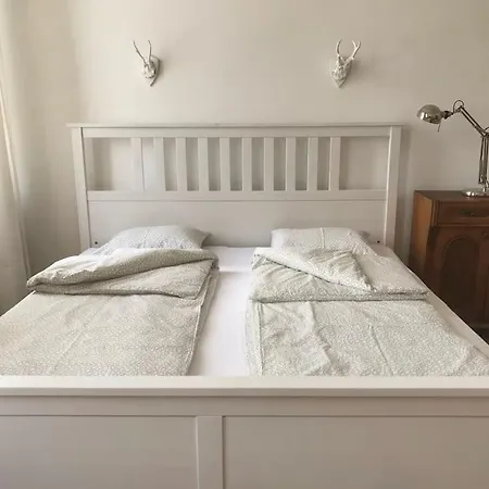 Apartment Wiener Altbauwohnung Vienna