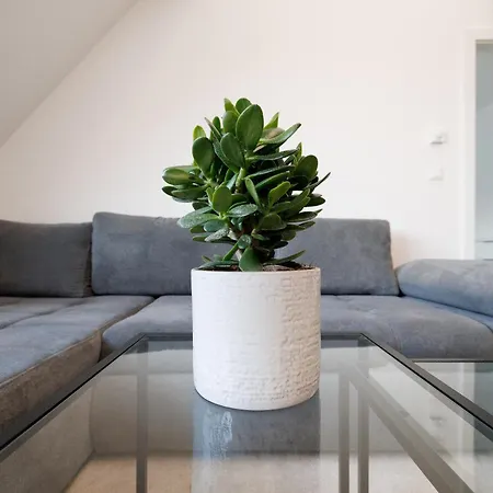 Symphony 41 - Modern Loft With Terrace And Grill In Location Apartamento Viena