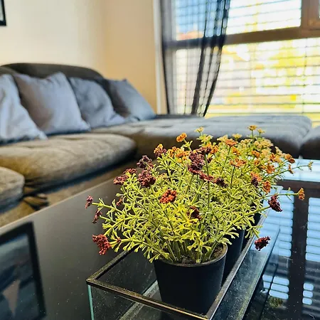 Brand New Apartment, Location-near Vic/danube * Wien