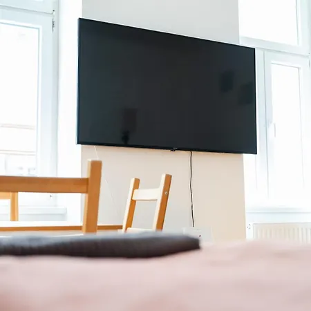 Erlachgasse Apartment