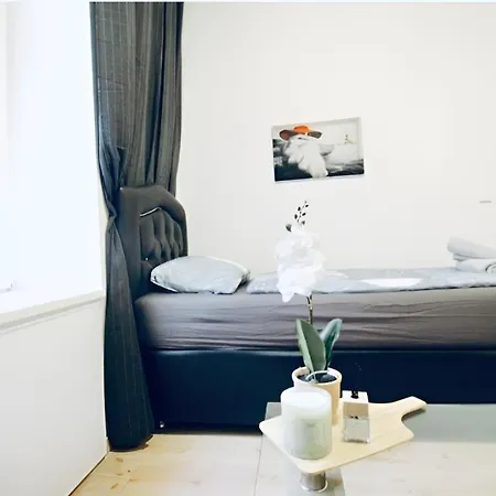 Spacious Cozy 1br Near To Danube River Apartment