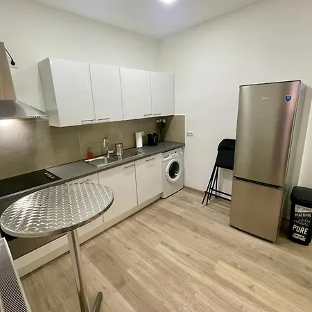 Kleine Studiowohnung In Der Braunhirschengasse Vienna