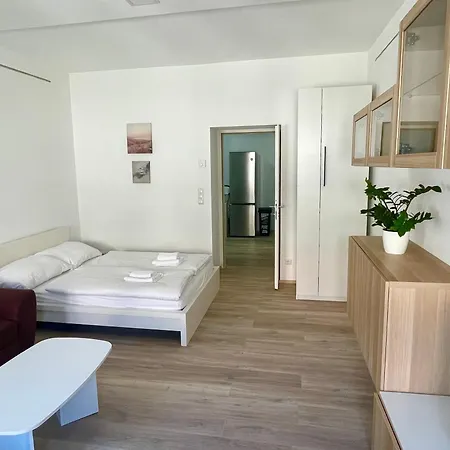 Kleine Studiowohnung In Der Braunhirschengasse