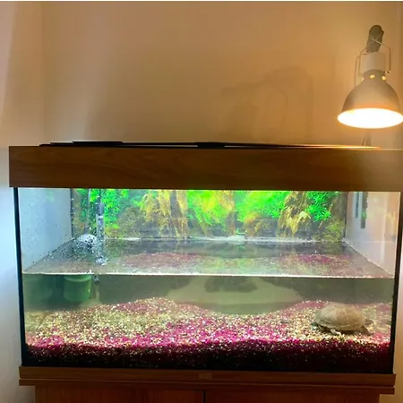 Apartmán Die Perfekte Aussicht Mitten Vídeň