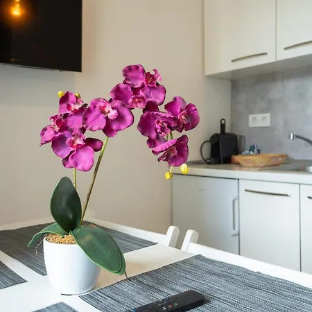 Apartment Dainn Schoenbrunn *