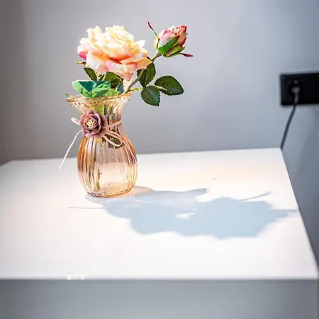 New By Jr