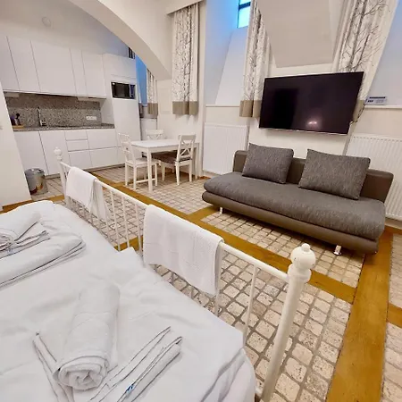 Aparthotel Modern Near Center Vídeň