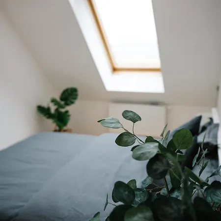 110qm, 4 Bedrooms, Near Schoenbrunn - Axara Housing Osw 33 * Vienna