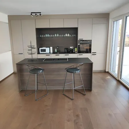 Luxus Penthouse Gegenueber International Centre Und Kaiserwasser