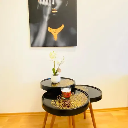 Bright 5br Shared W Great Transport Link Vienna