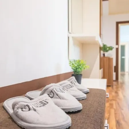Apartment Big Luxury 3br Near Center