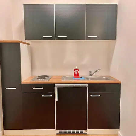 Aurellia Deluxe 아파트 *